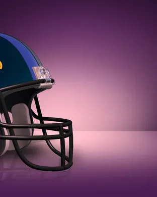 Baltimore Ravens Miami