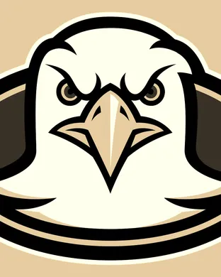 Boston College Eagles Football Miami Gardens