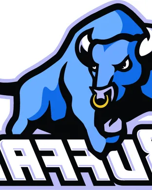 Buffalo Bulls Miami