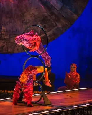 Cirque Du Soleil - Luzia Hallandale