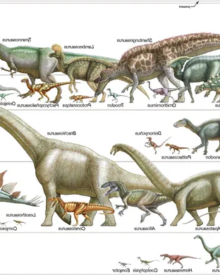 Dinosaur World Live Miami