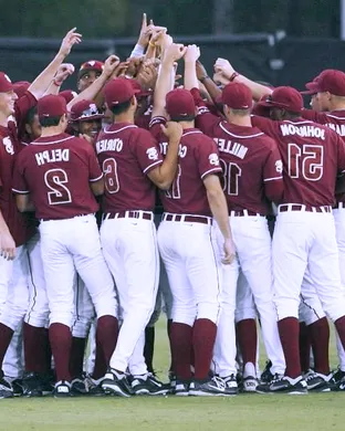 Florida State Seminoles Baseball Tallahassee