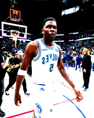 Minnesota Timberwolves Miami