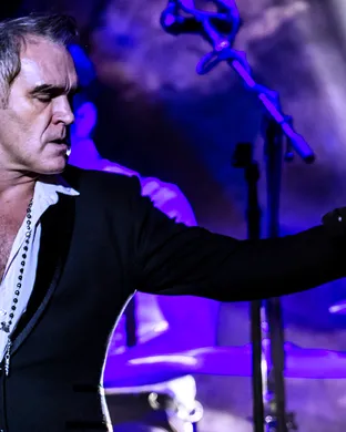 Morrissey Hollywood