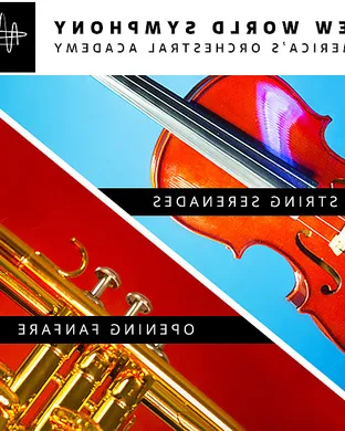 New World Symphony Miami