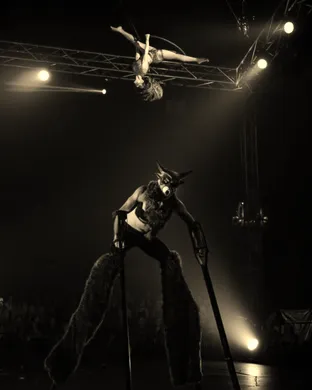 Paranormal Cirque Miami
