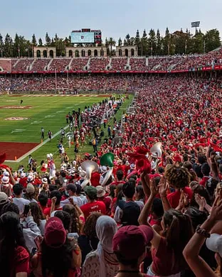 Stanford Cardinal Stanford