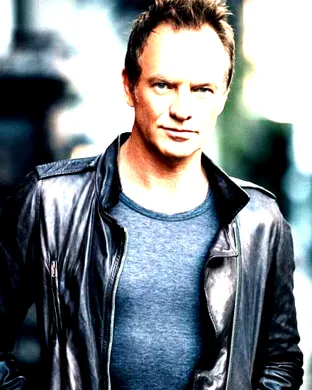 Sting Hollywood