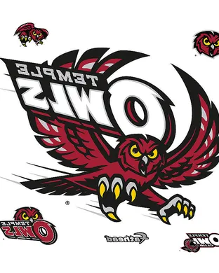 Temple Owls Miami