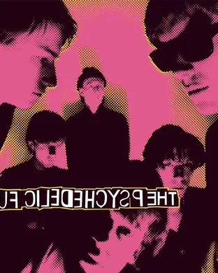 The Psychedelic Furs Miami Beach