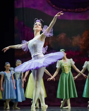 The Sleeping Beauty - Ballet Miami