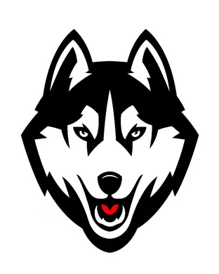 Uconn Huskies Football Miami
